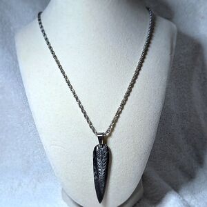 Fossilized Orthoceras Silver Pendant with 20 in Stainless Steel Necklace